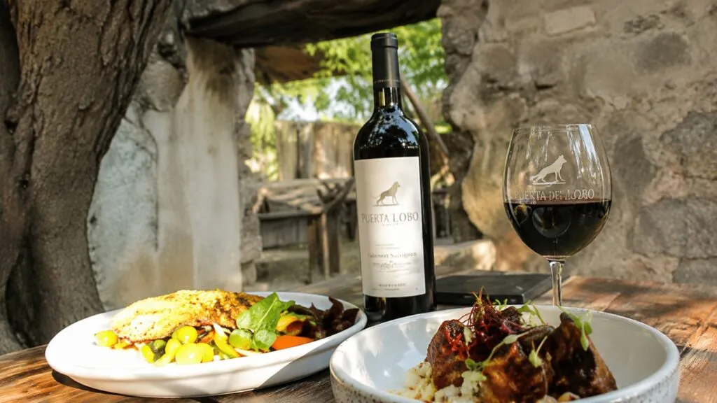 Vista de los viñedos de Puerta del Lobo en Querétaro, un destino que integra vino, gastronomía, naturaleza y experiencias turísticas.