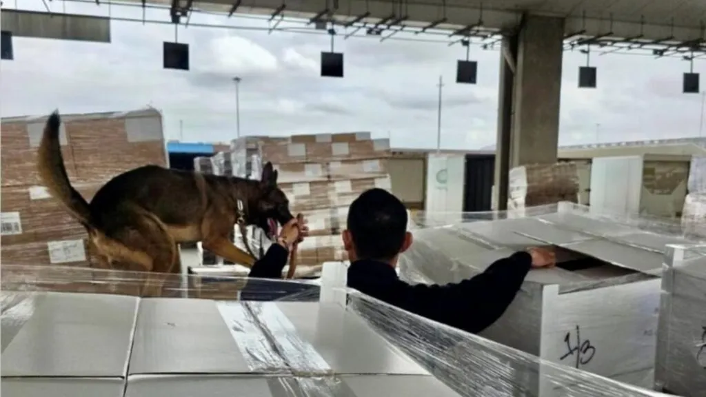 Autoridades mexicanas aseguran más de 1.3 toneladas de metanfetamina y 10 kilos de fentanilo en la Aduana de Tijuana.