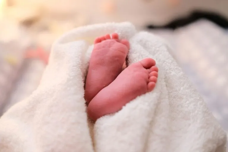 Fecundidad en México disminuye mientras factores económicos, laborales y familiares influyen en la decisión de tener hijos.