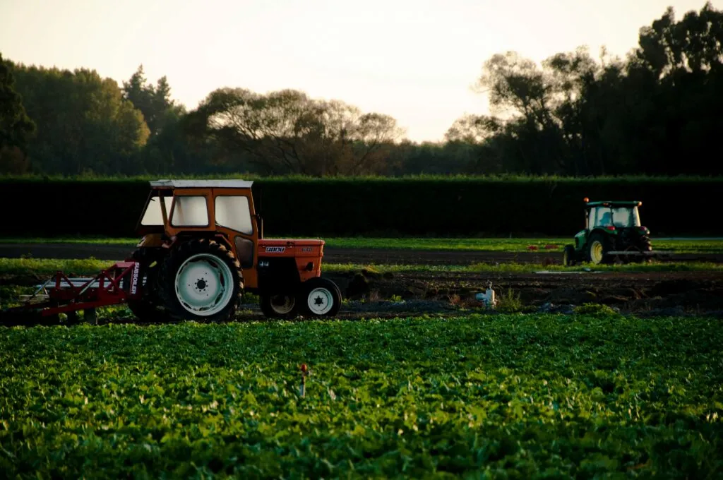 Trabajadores agrícolas de California protegen sus cultivos ante las posibles lluvias provocadas por el huracán Polo.
