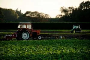 Trabajadores agrícolas de California protegen sus cultivos ante las posibles lluvias provocadas por el huracán Polo.