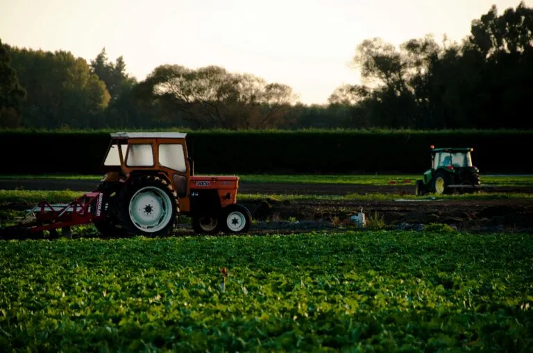 Trabajadores agrícolas de California protegen sus cultivos ante las posibles lluvias provocadas por el huracán Polo.