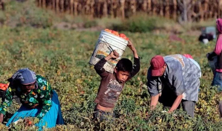 El trabajo infantil en México afecta la educación y las oportunidades de millones de menores en comunidades vulnerables.