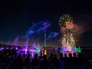 SeaWorld transforma sus espectáculos nocturnos con drones